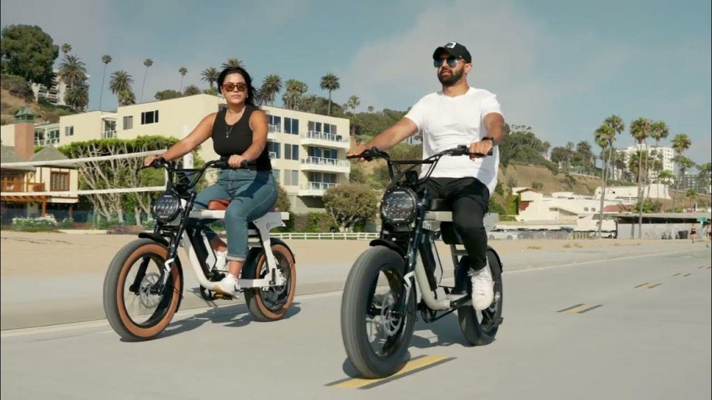 Dual Motor Electric Bike
